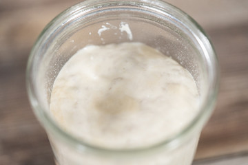 Sourdough starter