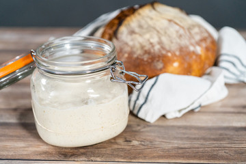 Sourdough starter
