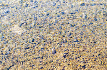 The rocky bottom of the river. Clear water