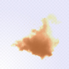 Dust cloud with particles. Realistic vector illustration on transparent background. Sandstorm explosion.
