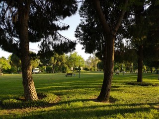 Park and bench for recreation area in the city, Green grass. sunset 