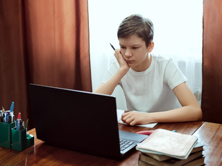 Student looking at computer, watching online education classes or webinar at home. Schoolboy...
