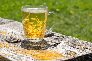 a transparent cup with golden linden tea stands on a wooden textured bench and through it passes the sunshine