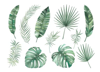 Naadloos Fotobehang Airtex Tropische bladeren Set of tropical leaves. Watercolor illustration.