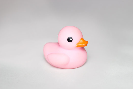 pink rubber duck