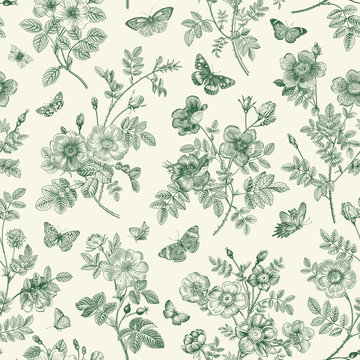 Fototapeta Vintage floral illustration. Seamless pattern. Wild Roses with butterflies. Green and white. Toile de Jouy.