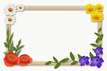 Wild flowering plants - popular objects for designers, fashion designers, photographers and artists