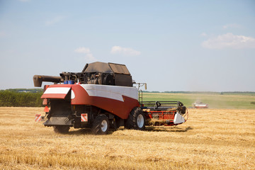 Obraz premium combine harvester on a wheat field