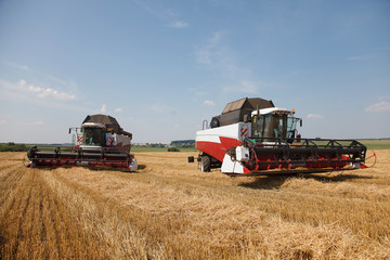combine harvester on a wheat field