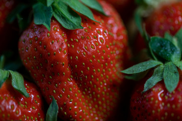 Strawberry fruit Fresh organic berries macro