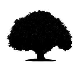 black tree silhouette isolated on white background. Clipping path. for apps and websites.