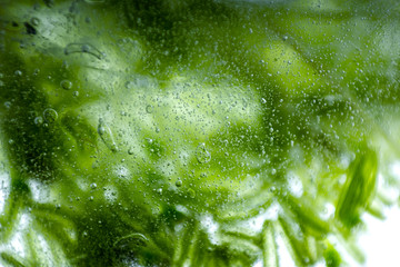 air bubbles in green ice