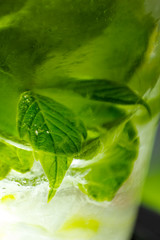 frozen leaves close-up, background, wallpaper