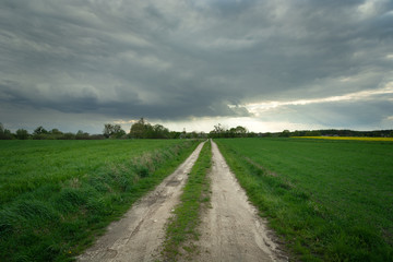 A dirt road surrounded by green fields, the horizon and dark rain clouds