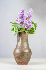 A vase filled with purple flowers