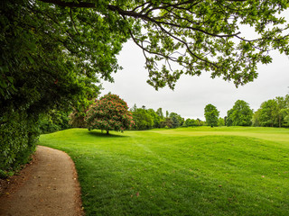 Fototapeta premium EMPTY GOLF COURSE 