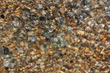 Abstract background. Shell under water. Bright sunny day, glare from the sun on the water. Concept, World Oceans Day, World Environment Day, Earth Day. Top view, banner, mockup for design.