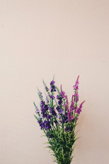 Fototapeta premium Artificial multi-colored flowers in the form of decor on a wall background. Decoration for the interior. Photography, concept.
