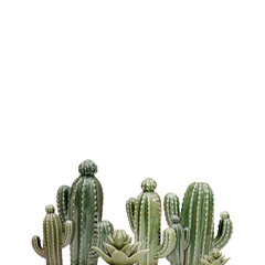 Ceramic cactus isolated on a white background for creating symbolic posters, postcards and...