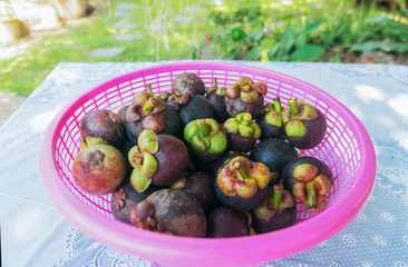 Mangosteen,Thai fruits in a pink basket