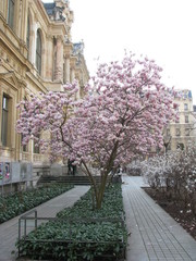 Lyon, Rhone et Saone, le plus belle de France