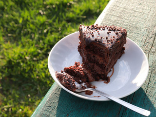 Chocolate cake on a plate and a spoon. Lunch concept in the fresh air and in harmony with nature. enjoying the green of the grass and the sun