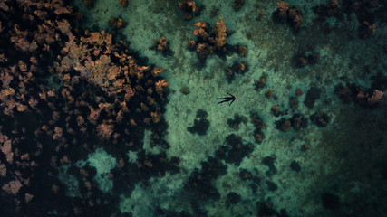Obraz premium Aerial picture of a floating person in a wetsuit who is a freediver. swimming in the turquoise sea. Seaweed all around the sea. Vacation Activity. Calm sea and atmosphere.