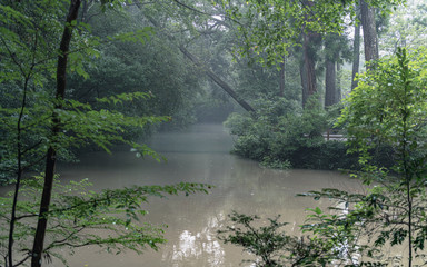 伊勢外宮 正宮前 雨の池畔