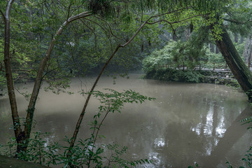 伊勢外宮 正宮前 雨の池畔