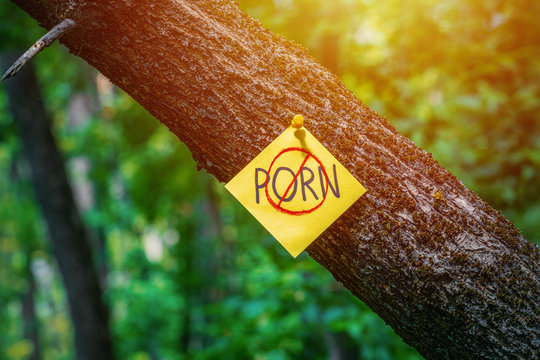on tree bark stickers with NO PORN inscription