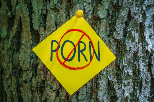 on tree bark stickers with NO PORN inscription