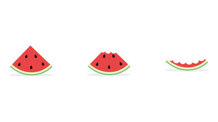 Set of fresh watermelons. Bitten pieces. Flat style. Vector illustration

