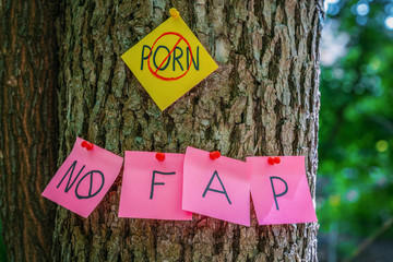 on tree bark stickers with NO PORN inscription
