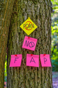 on tree bark stickers with NO PORN inscription