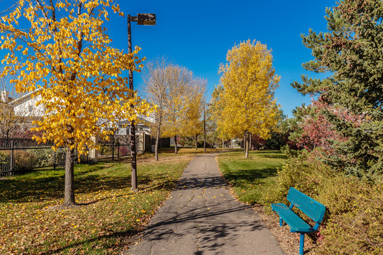 Budz Green Park