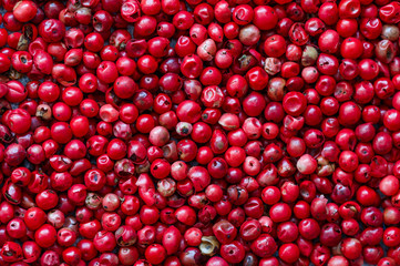 Pink Organic dried Peppercorns on light concrete or stone background close-up. Pepper. Spices and seasonings. Selective focus, top view
