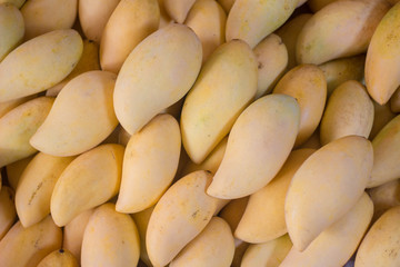 close up shot of Thai ripe barracuda mangoes.
