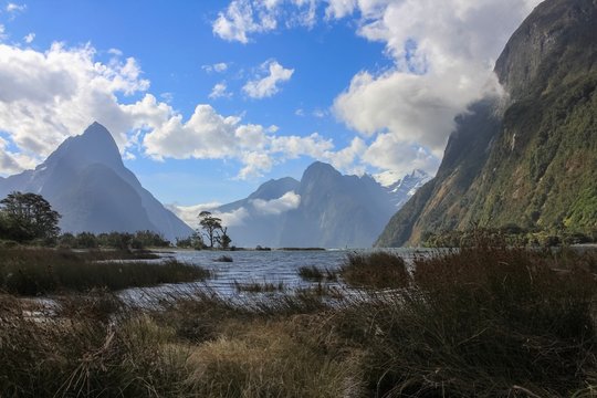 all photos are entirely shot during my South Island exploration in New Zealand 