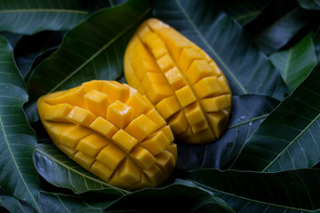 Delicious golden mango fruit on  green leaf background. Ripe yellow Barracuda mangos. Tropical...