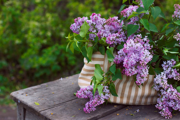 
Lilac flowers in a bag on a wooden table in the garden.  Natural spring style. Aromatherapy. Romantic composition.