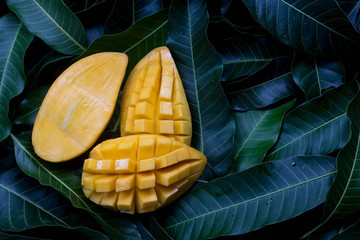 Delicious golden mango fruit on  green leaf background. Ripe yellow Barracuda mangos. Tropical...