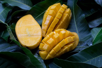 Delicious golden mango fruit on  green leaf background. Ripe yellow Barracuda mangos. Tropical...