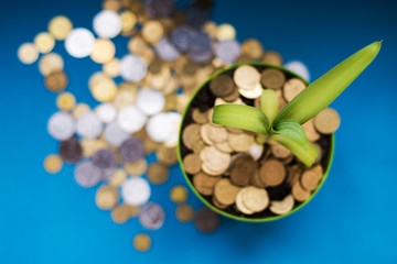 Money growth - Business concept