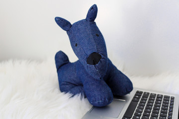 Toy dog with PC working from home