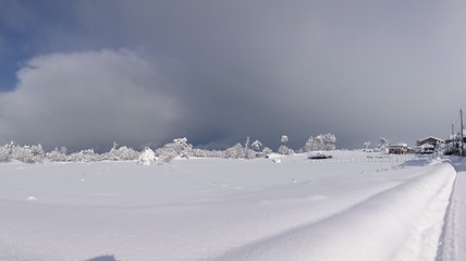 Fototapeta na wymiar The view of Niigata in Winter, Japan