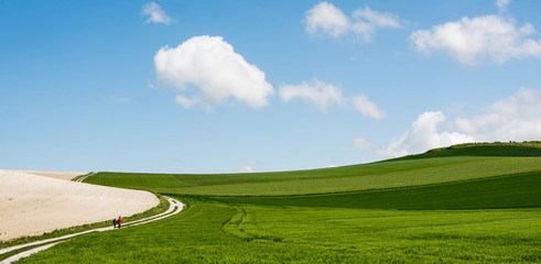 mom and little daughter walking in a beautiful landscape