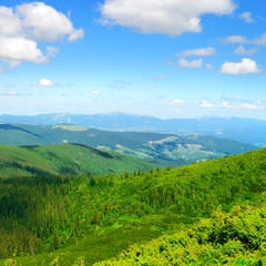 Naklejka na ściany i meble Carpathian mountains on bright sunny day