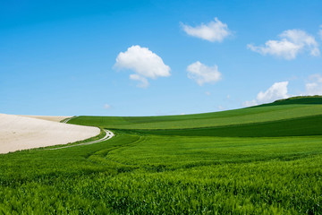 hiking path crossing fields in spring