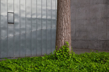 A trunk in front of a Jewish Museum Berlin