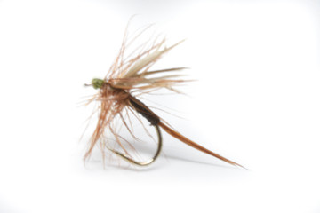 Ginger Quill Trout Fly
